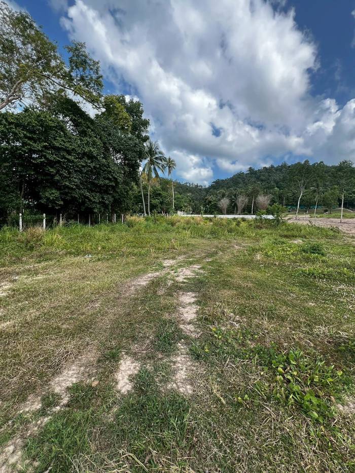 Flat Land for Sale — Taling Ngam