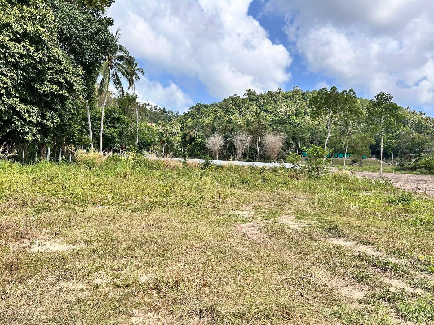 Flat Land for Sale — Taling Ngam