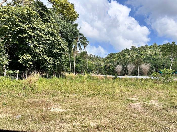 Flat Land for Sale — Taling Ngam
