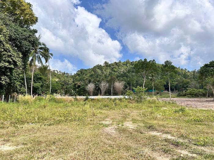 Flat Land for Sale — Taling Ngam